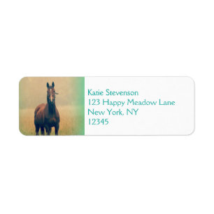 Bay Horse Standing