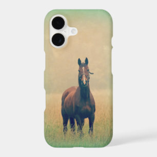 Bay Horse Standing in a Field