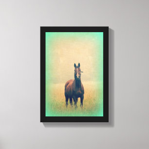 Bay Horse Standing in a Field Canvas Print