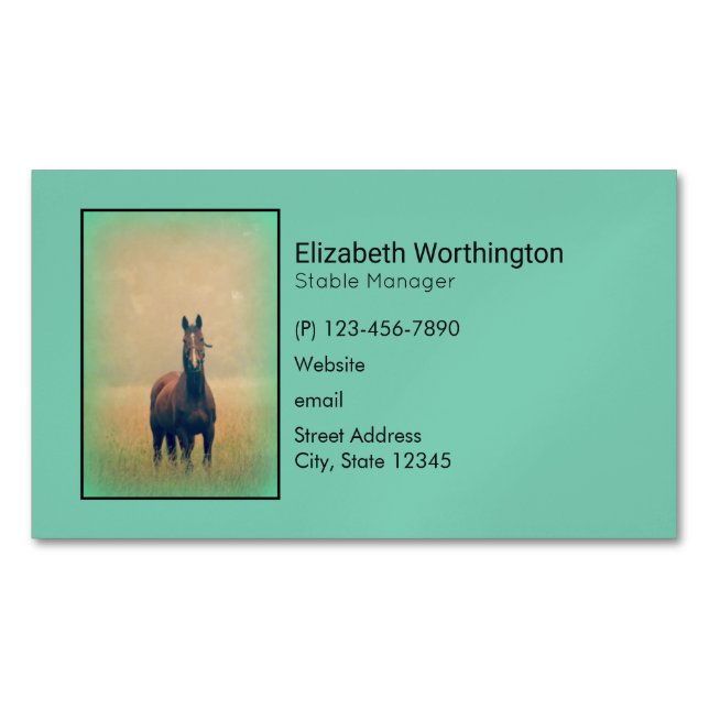 Bay Horse Standing in a Field Magnetic Business Card (Front)
