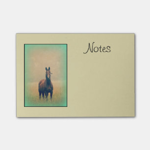Bay Horse Standing in a Field Post-it Notes