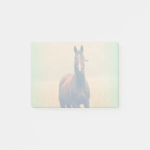 Bay Horse Standing in a Field Post-it Notes
