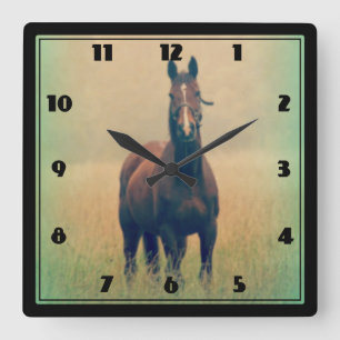 Bay Horse Standing in a Field Square Wall Clock