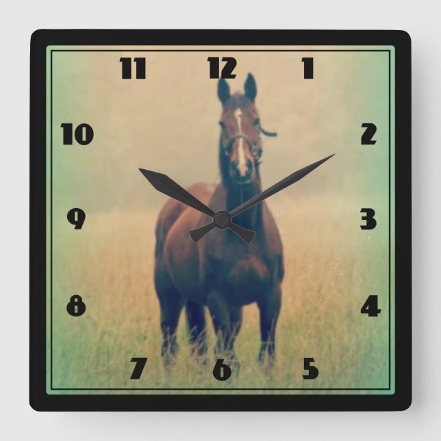 Bay Horse Standing in a Field Square Wall Clock (Front)