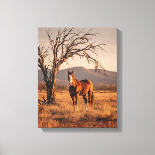 Bay Horse Sunset Prairie Painting Canvas Print