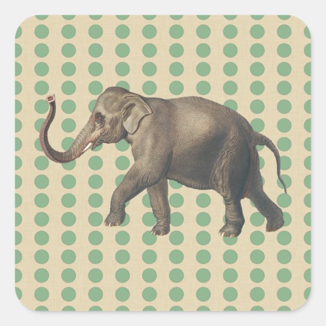 Bay Leaf Spice Moods Dots with Elephant Square Sticker (Front)