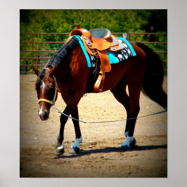 Bay Lunge Line Horse Show Warm-Up Poster (Front)
