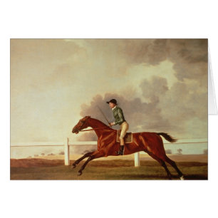 Bay Malton with John Singleton Up, c.1767