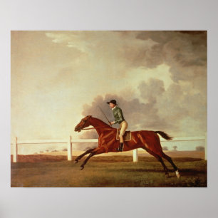 Bay Malton with John Singleton Up, c.1767 Poster