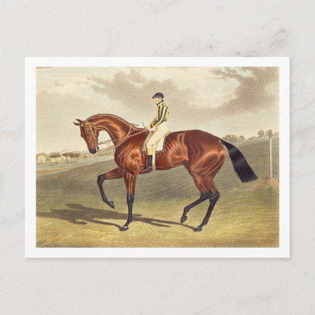 Bay Middleton, winner of the Derby in 1836, after Postcard (Front)
