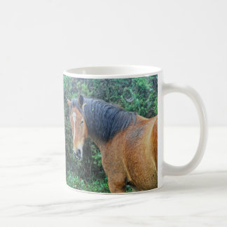 Bay New Forest Pony of Hampshire, England Coffee Mug