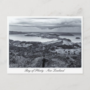 Bay of Plenty , New Zealand Postcard