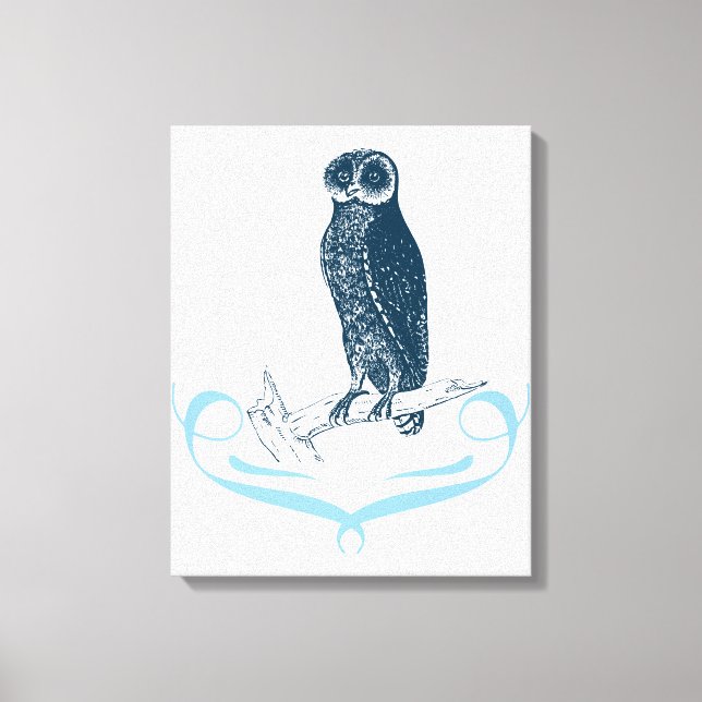 Bay Owl Canvas Print (Front)