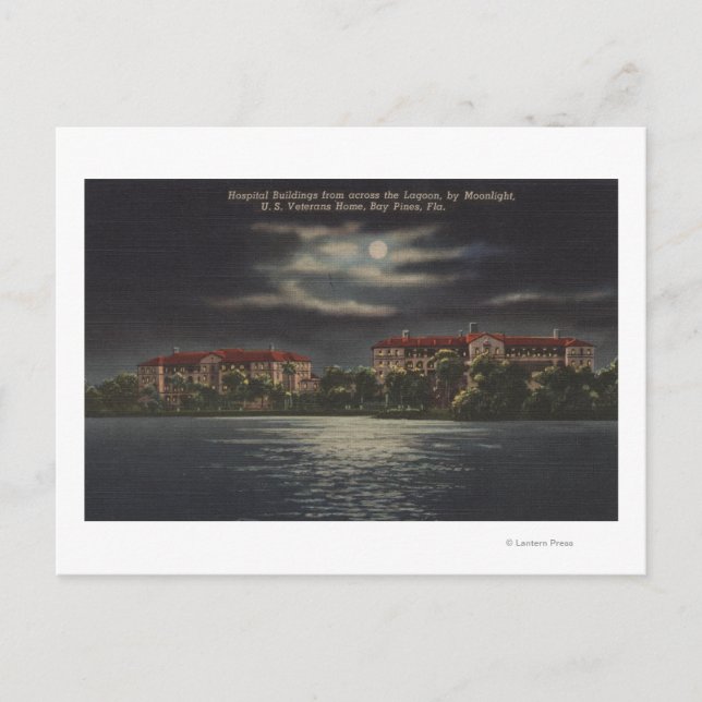 Bay Pines, Florida - Moonlit View of Hospital Postcard (Front)