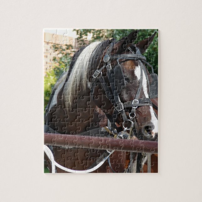 Bay Pinto Amish Buggy Horse in Kalona, Iowa Jigsaw Puzzle (Vertical)
