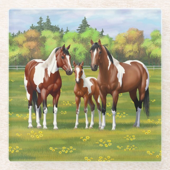 Bay Pinto Paint Quarter Horses In Summer Pasture Glass Coaster (Front)