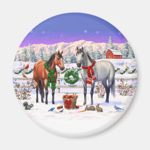Bay Pinto Paint Quarter Horses In Summer Pasture M Magnet