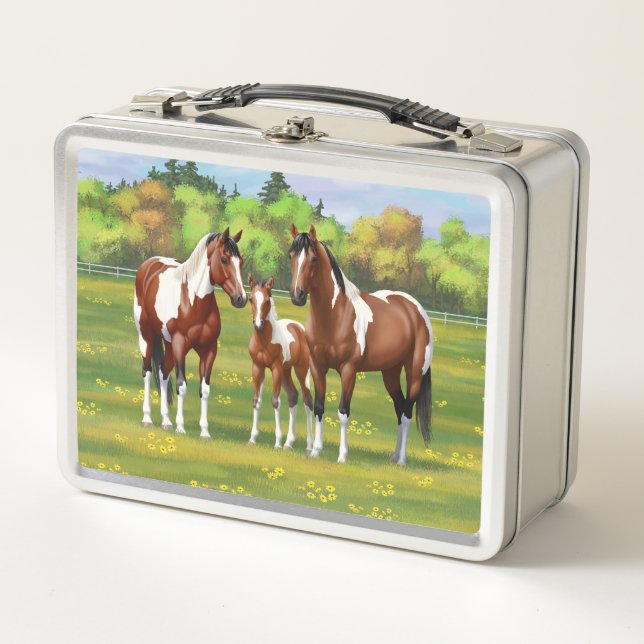 Bay Pinto Paint Quarter Horses In Summer Pasture Metal Lunch Box (Front)