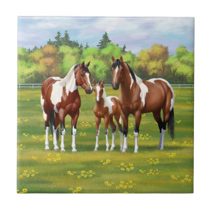 Bay Pinto Paint Quarter Horses In Summer Pasture Tile
