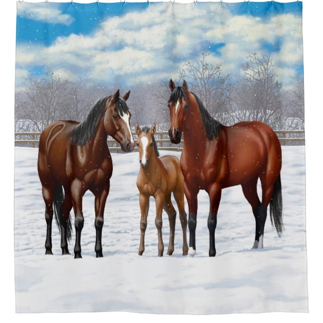 Bay Quarter Horses In Snow (Front)