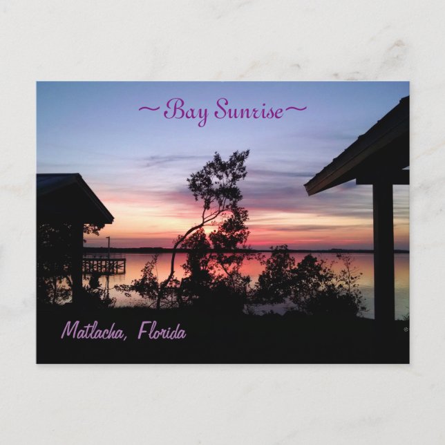 Bay Sunrise Matlacha Florida Postcard (Front)