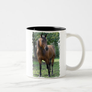 Bay Thoroughbred Horse Coffee Mug