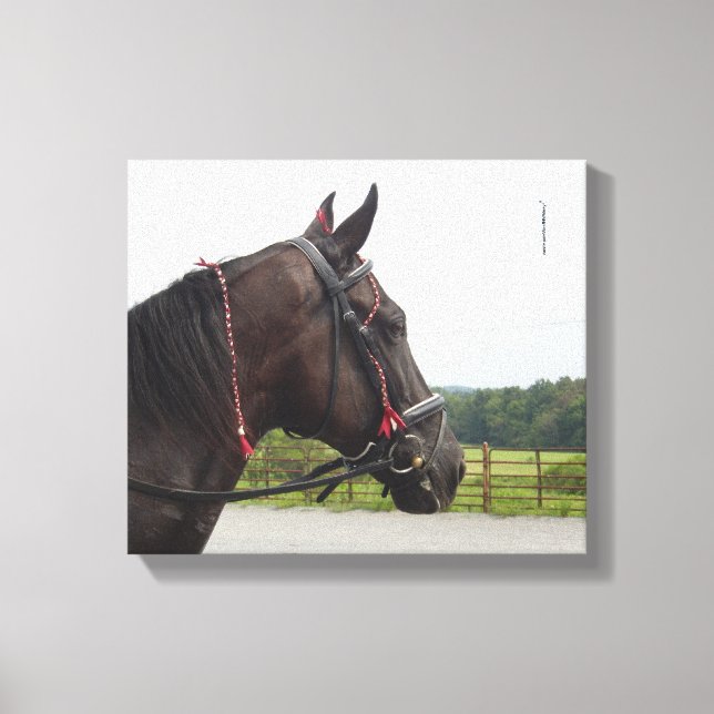 Bay Walker Mare Canvas Print (Front)