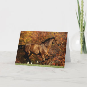 Bay Warmblood Running Autumn Background Card