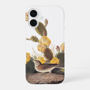 Bay-Winged Bunting Audubon Audubon Bird iPhone 16 Case