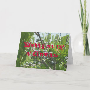 Bayberry Christmas Card