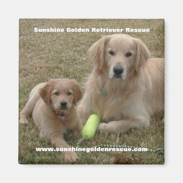 Bayou Magnet - Sunshine Golden Retriever Secourt.. (Devant)
