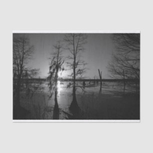 Bayou Sunset Cypress Trees & Swamp Tissue Paper