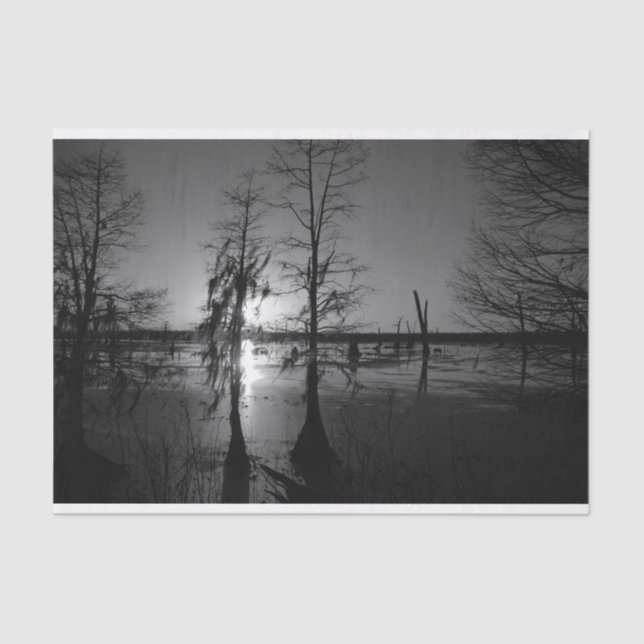 Bayou Sunset | Cypress Trees & Swamp Tissue Paper (Front)