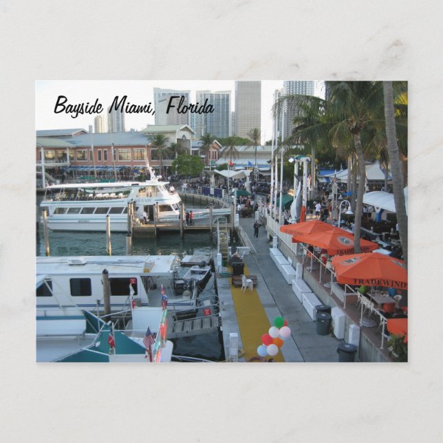 Bayside Miami, Florida Postcard (Front)
