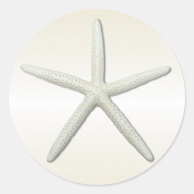 Bayside Single Starfish Champagne Round Classic Round Sticker (Front)