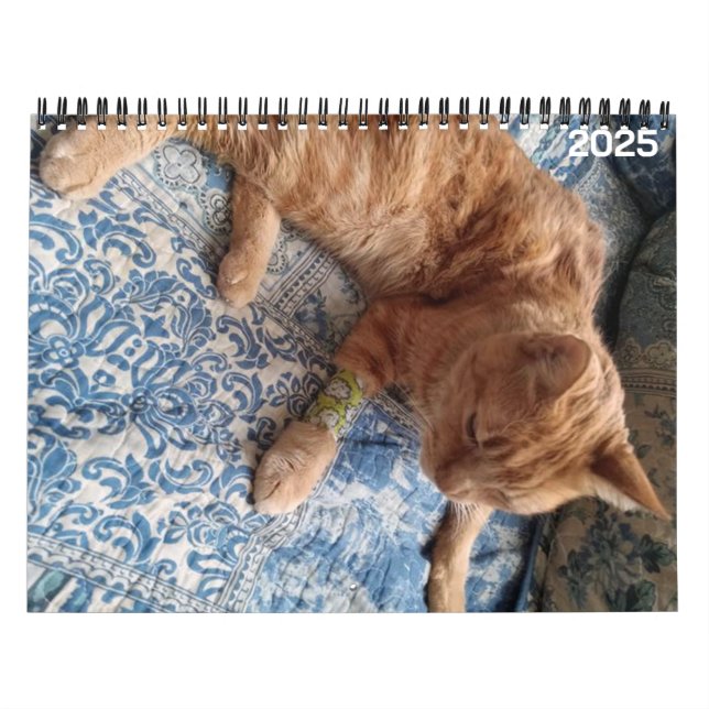 Bazz 12 Month 2025 Personalized Calendar (Cover)
