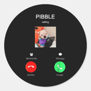 Bble Is Calling Funny Meme For Meme Fans Dog Lover Classic Round Sticker