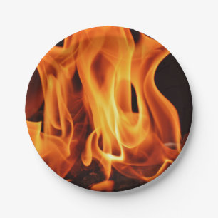 BBQ Grill Fire Flames Paper Plate