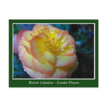 BC garden flowers