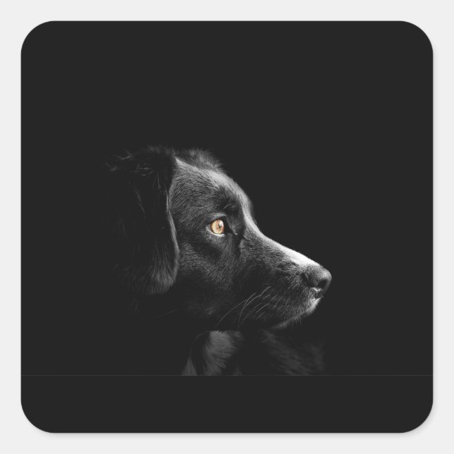bc on black square sticker (Front)