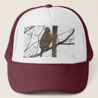 BC- Red-shouldered Hawk Hat