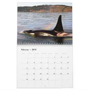 BC Whales Calendar