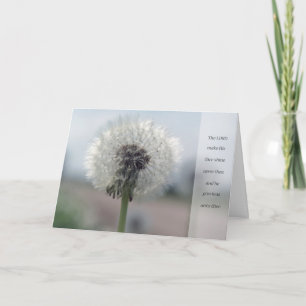 BD001 CARD