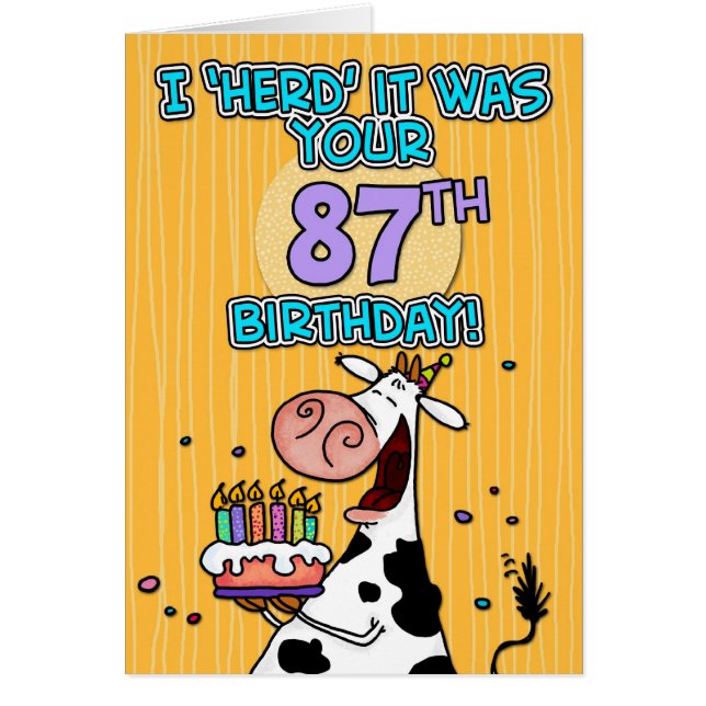 bd cow - 87 (Front)