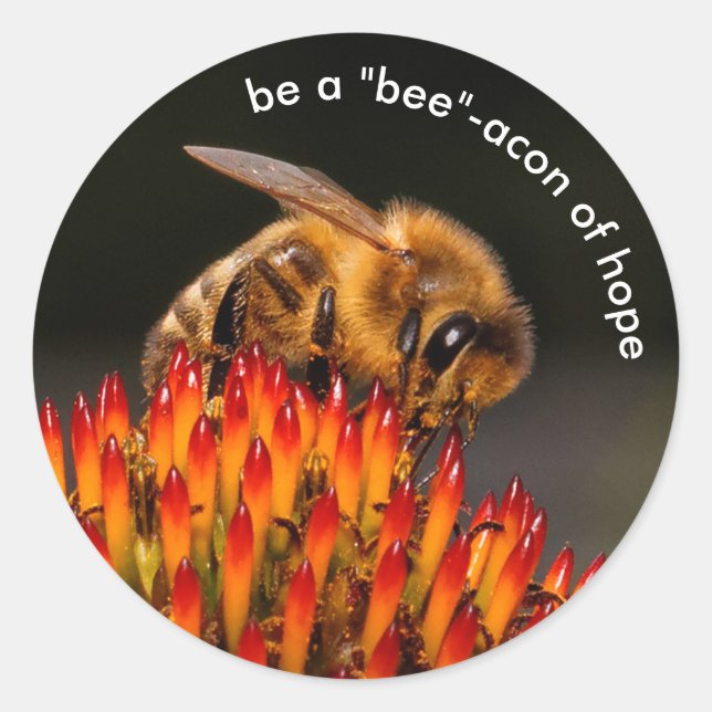 Be a "Bee"acon Beacon of Hope Bee on Echinacea Classic Round Sticker (Front)
