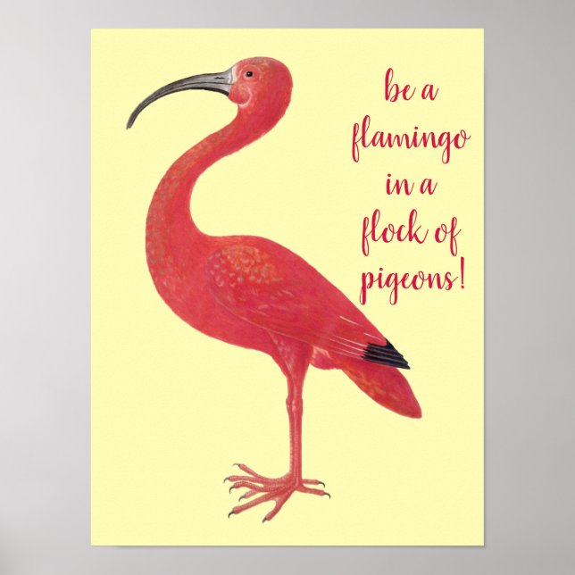Be a Flamingo - Fun, Inspirational Quote Poster (Front)
