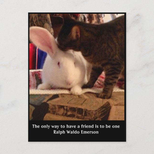 Be a Friend Postcard (Front)