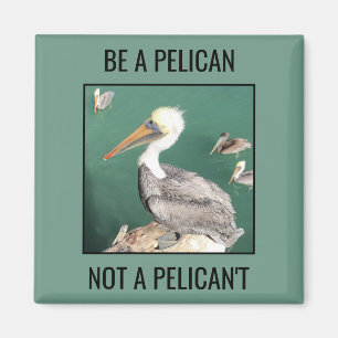 Be a Pelican, Not a Pelican't Magnet