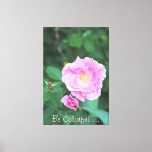 Be Colourful Canvas Print