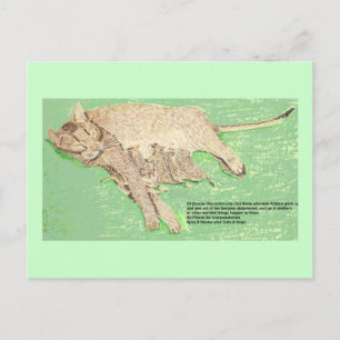 Be Compassionate, Spay And Neuter Postcard